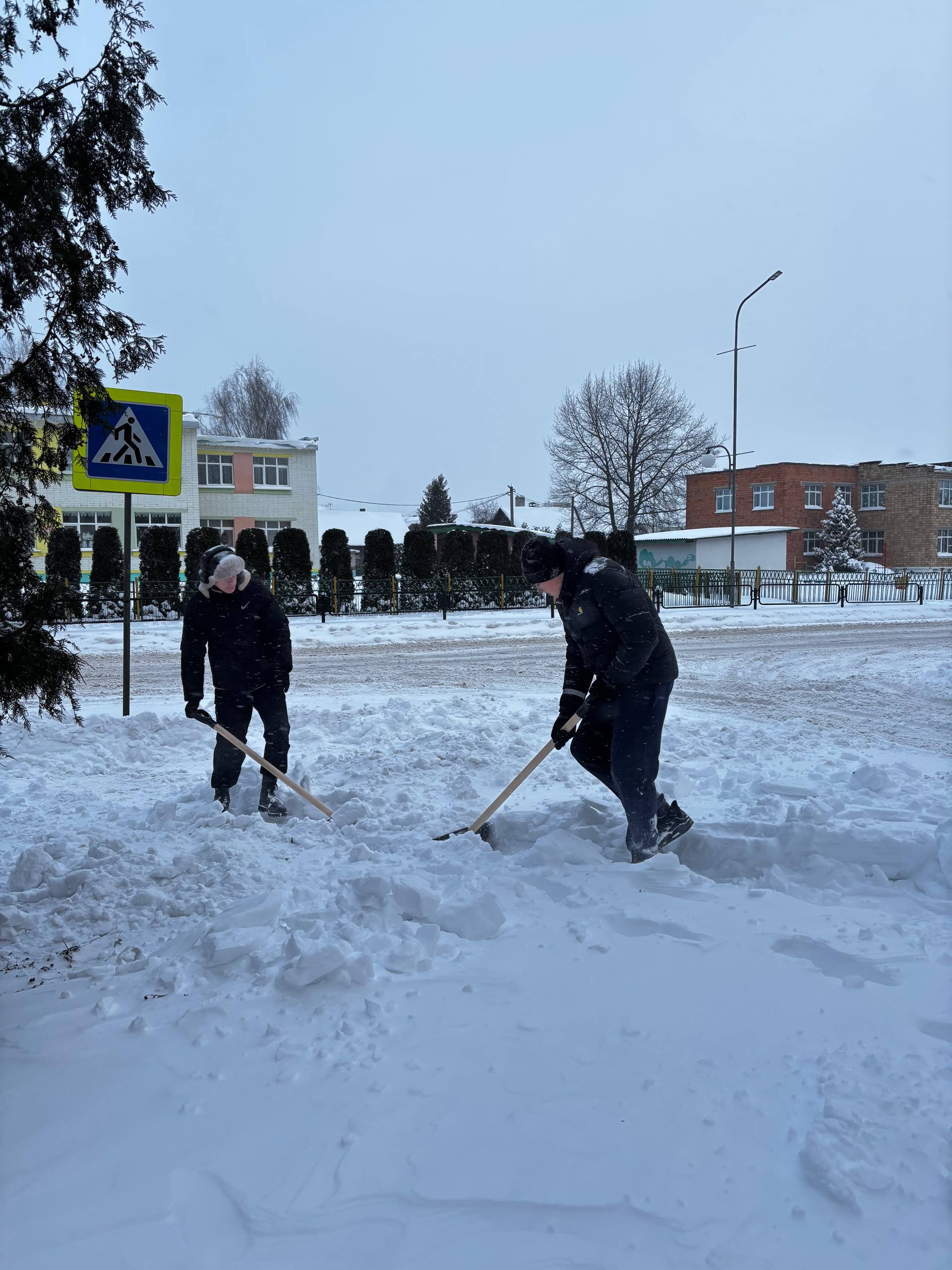 photo 2026-01-09 11-25-12