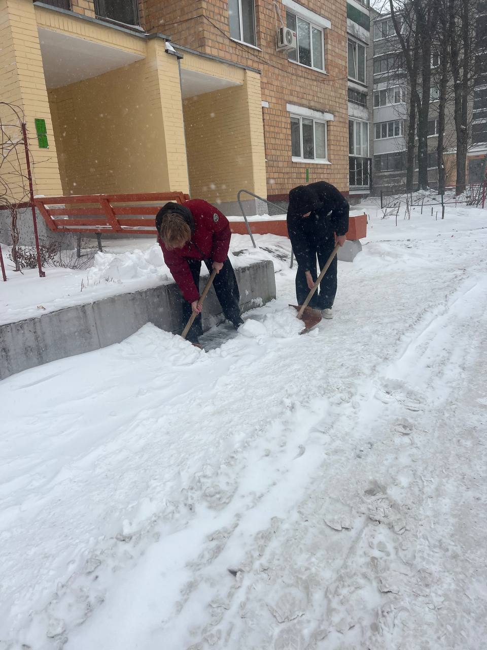 photo 2026-01-08 15-16-10