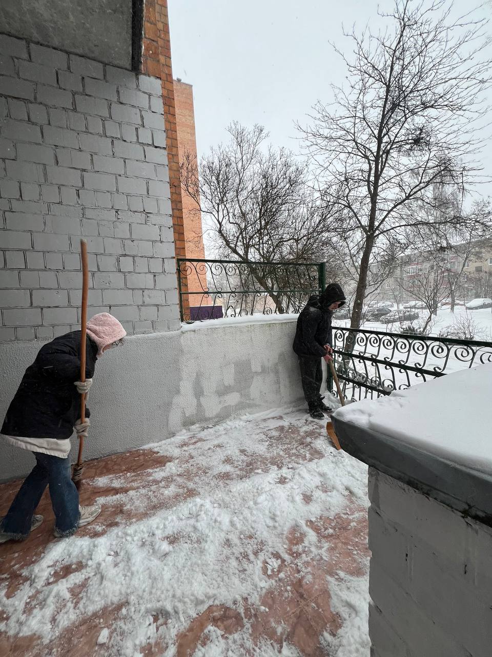 photo 2026-01-08 15-02-51