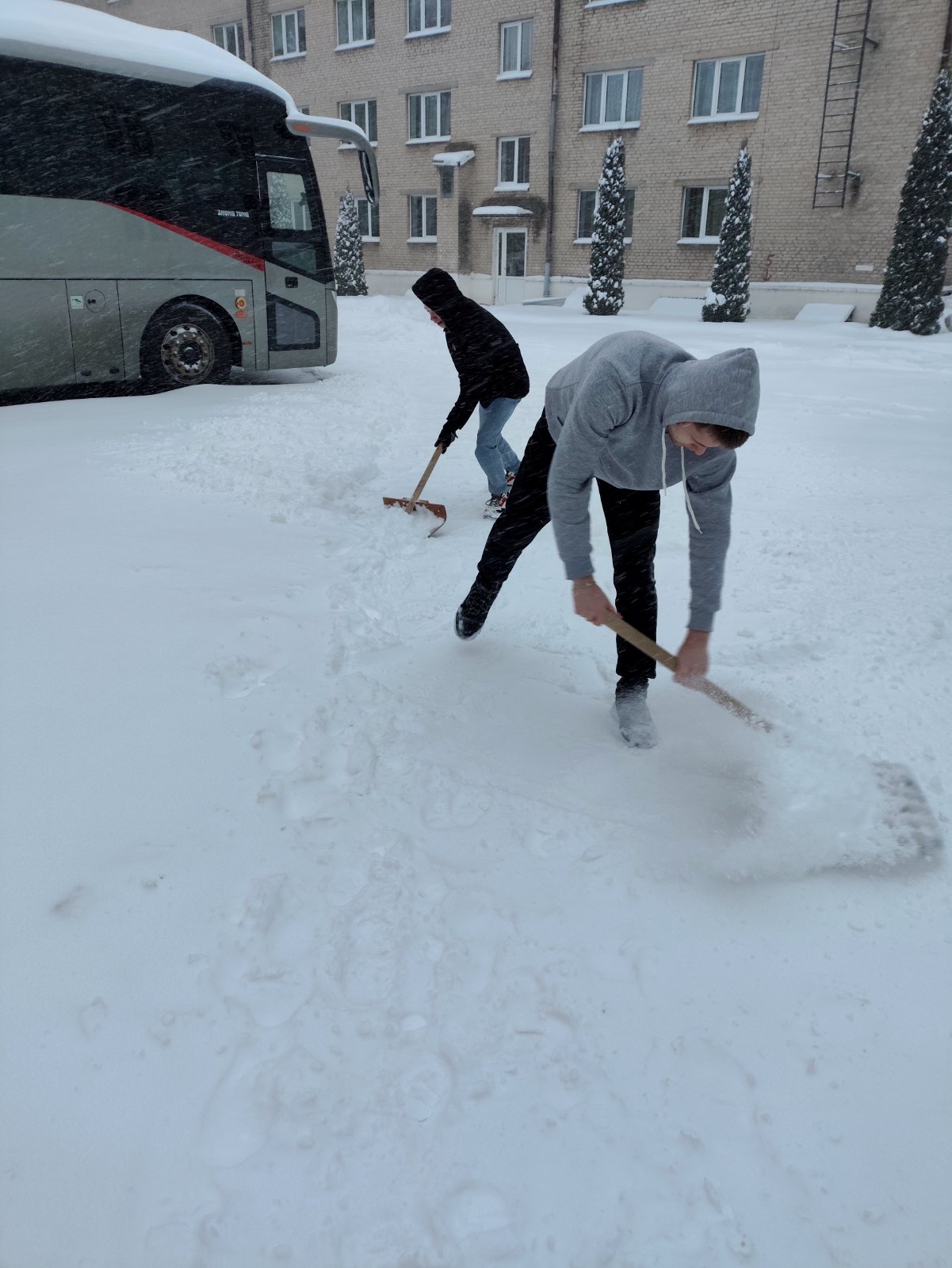 viber 2026-01-08 16-06-15-771