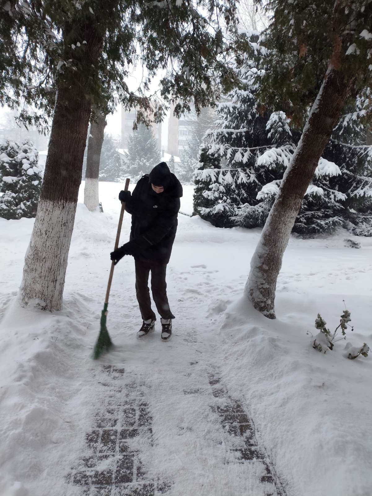 viber 2026-01-08 16-27-23-612