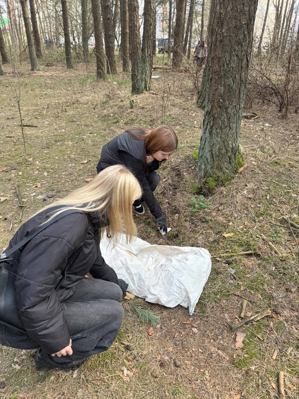 photo 2026-03-30 12-53-29