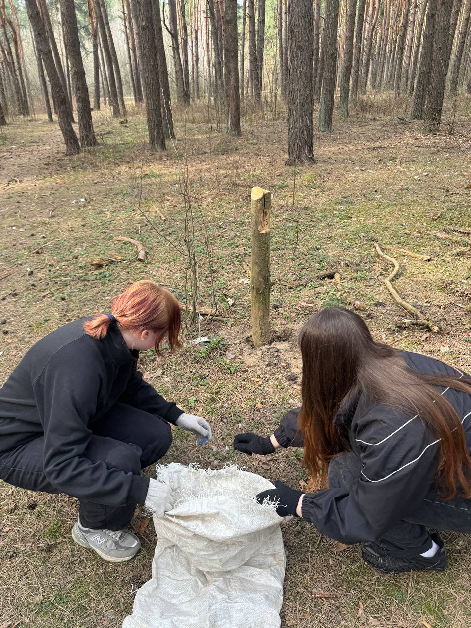 photo 2026-03-30 12-53-29 3