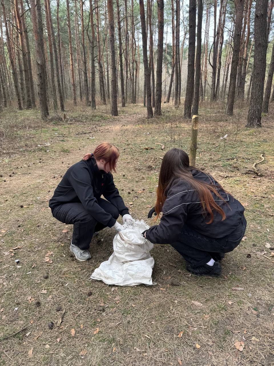 photo 2026-03-30 12-53-29 4