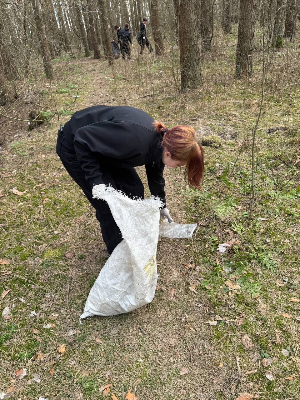 photo 2026-03-30 12-53-29 6