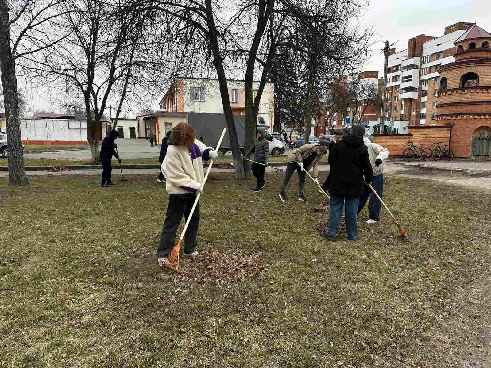 viber 2026-03-20 12-44-46-601