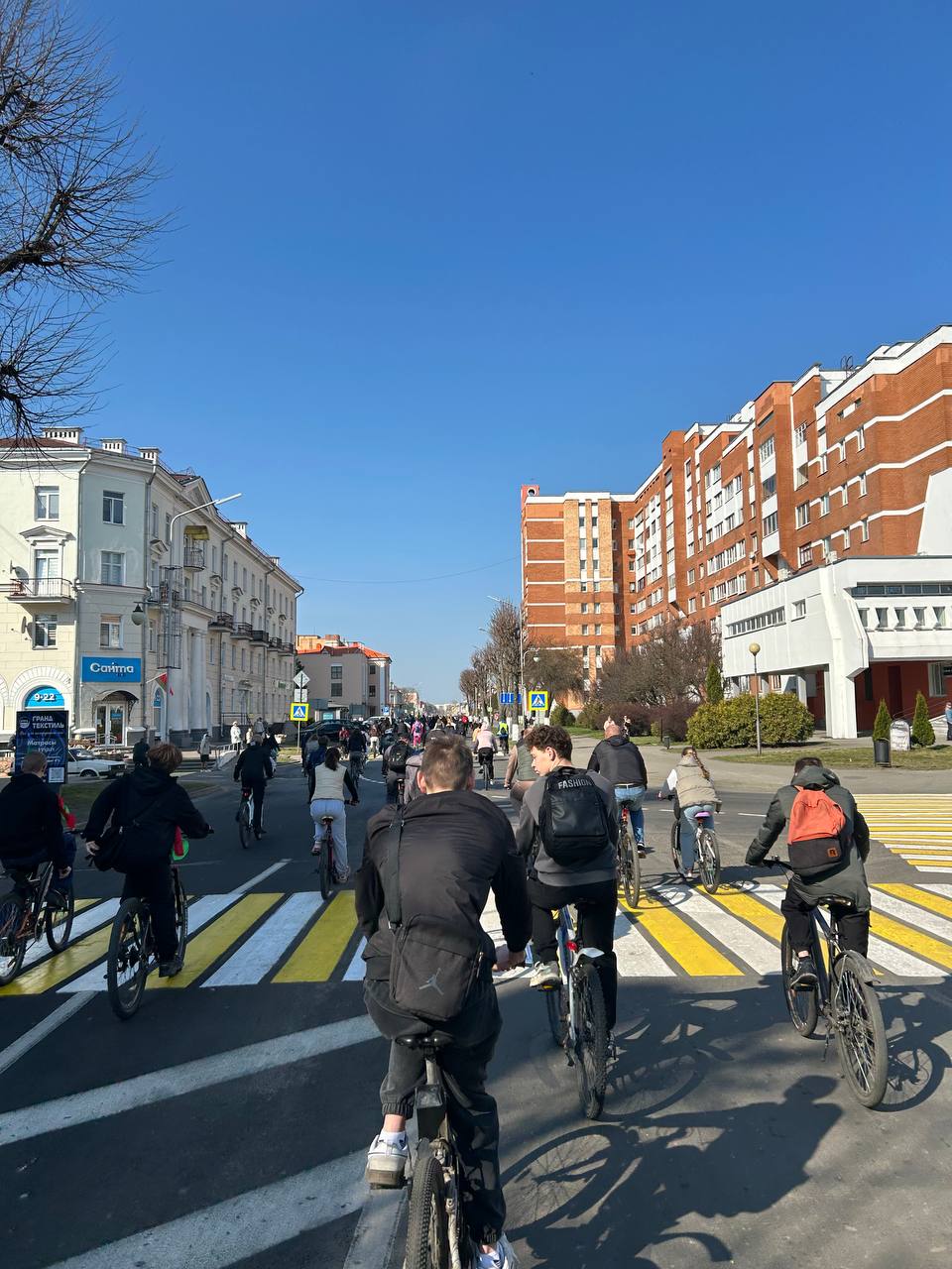 photo 2026-03-30 13-02-57 5